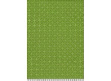 Dekostoff Canvas Anton lime